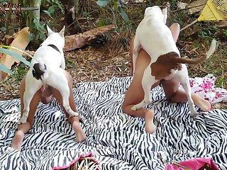 Sex With Animal Clip