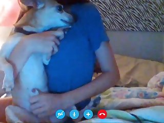 Animal Bf Sex