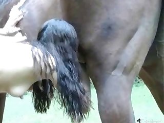 Animal Fazendo Sex