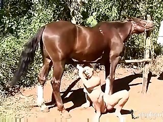Tumbler Animal Sex