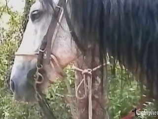 Sex Between Animal And Human Is Called What