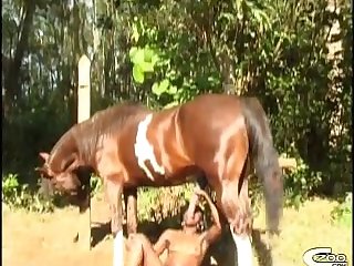Girls Animal Sex