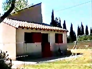 Sex Gay Animal Anime