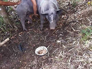 Women Getting Fucked By Horse Porn