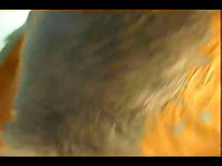 Vidio Porno C Animal