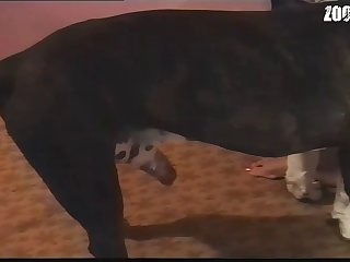 Videos Porno De Mulher Transando Com Animal