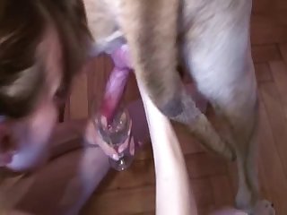 Vidio Porno Putaria Animal