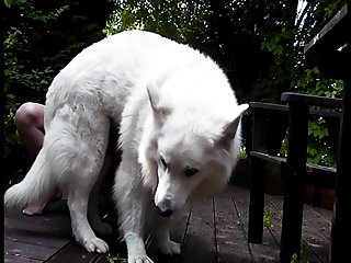 Video Porno Com Animal Para Assistir No Celular