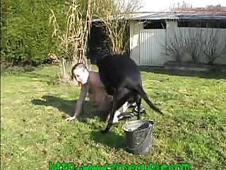 Desenho De Animal Porno