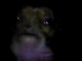 Anime Porno Gay Animal