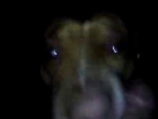 Anime Porno Gay Animal