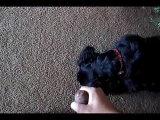 Padre Hijo Desnudos Real Xxx Porn