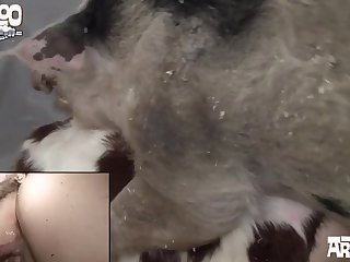 Sabrina Carpenter Deepfake Xxx Porn