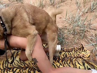 Gf Anal Sex Porn Xxx