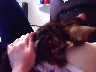 Xxx Porn Game For Android