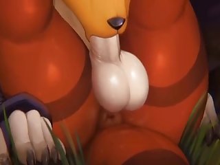 Ok Xxx Porn Star
