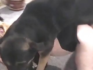 Porn First Xxx