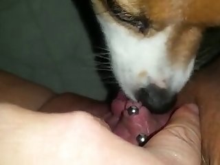 Boys Porn Xxx