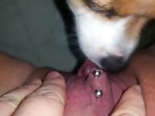 Boys Porn Xxx