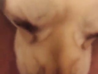 Belly Dance Xxx Porn