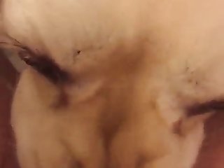 Belly Dance Xxx Porn