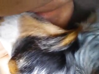 Hentay Xxx Porn