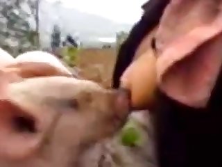 Bookmark Bestialica