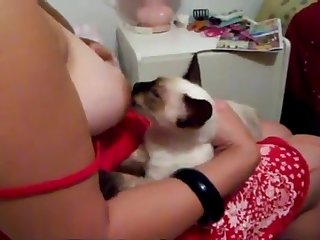 Bookmark Bestialica