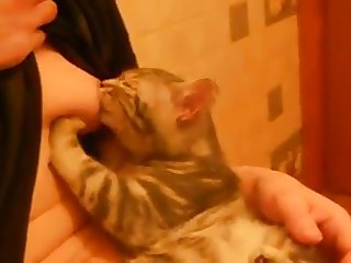 Bookmark Bestialica