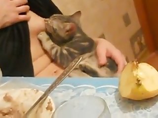 Bookmark Bestialica