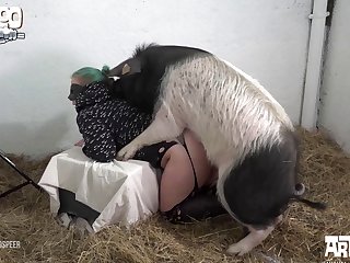 Animal Sex Host Free