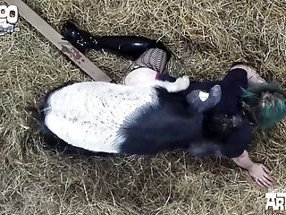 Animal Sex Host Free