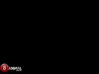 Gay Zoo Porn Anal