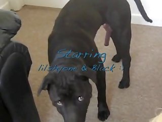 Animal Sex Bestiality