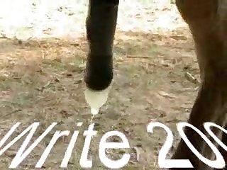 Zoo Porn Petite
