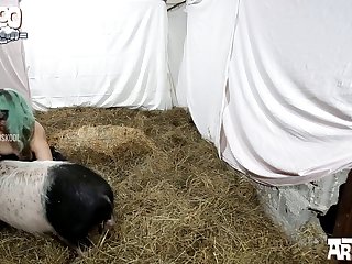 Camel By Camel Animal Crossing Full Video Pornhub