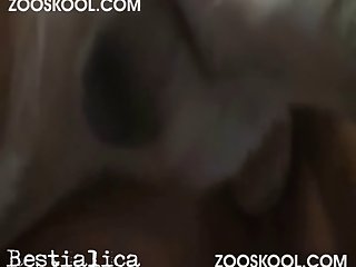 Having Sex With My Dog Porn