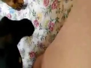 Compilation Dog Porn