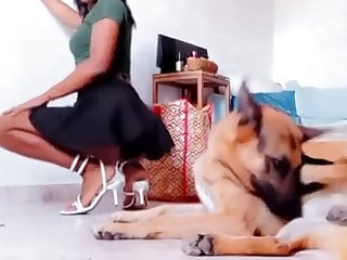 Shephrd German
