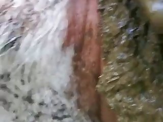 Cow Scat 720p