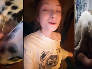 Bestiality 2026