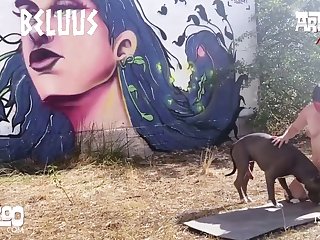 Music Re Zoo Bestiality