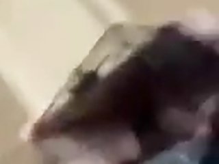 Porn Compilation Dogsex