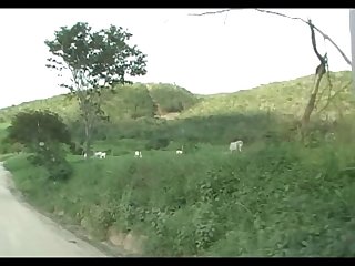 Mare Lupe Vs Big Stallion Scene 01