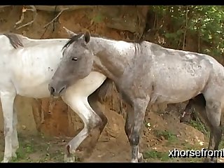 Vt07022016c Stallion 007 Vs Lua Sc 05