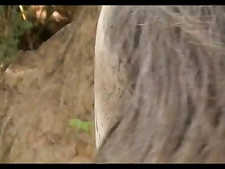 Vt07022016c Stallion 007 Vs Lua Sc 05