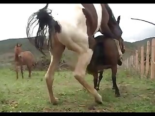 Lupe Nature 01
