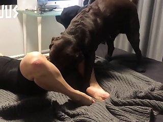 New Dog Porn Hd