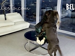 Art Of Zoo Luxuretv