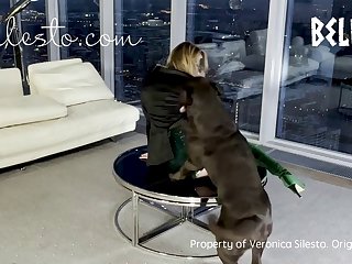 Art Of Zoo Luxuretv